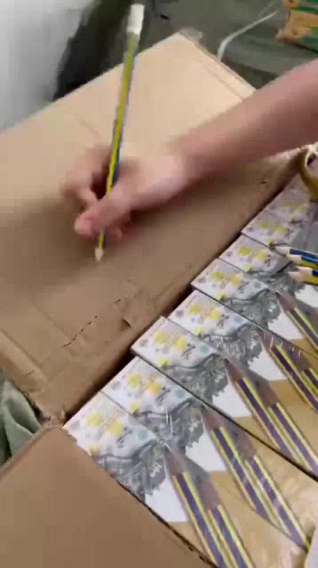 Hộp 10 cây bút chì TL kèm tẩy