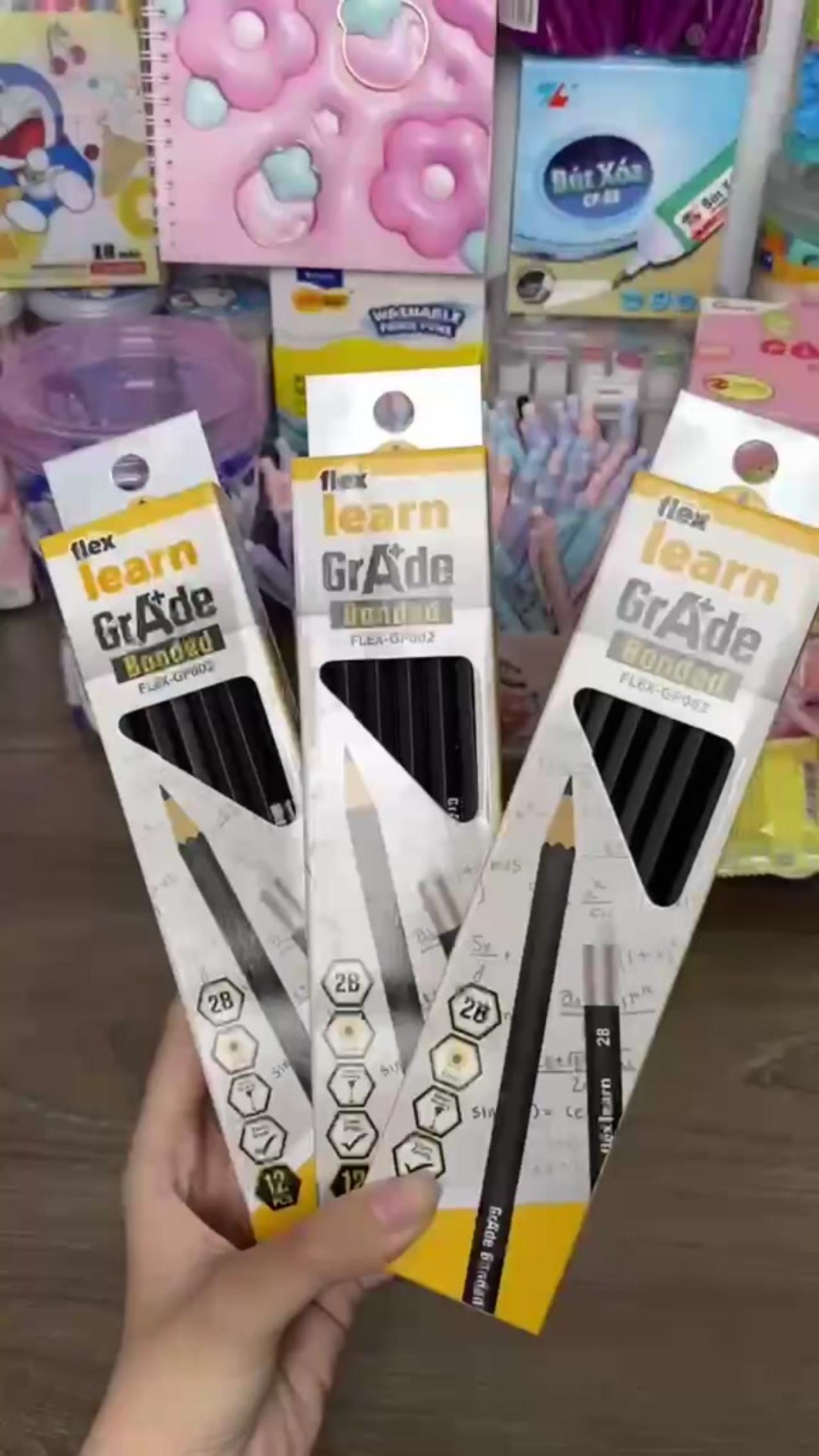 Hộp 12 bút chì gỗ Flex Learn 2B